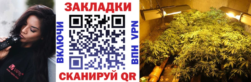 LSD-25 Чекалин