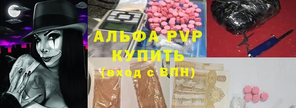 гашик Майский