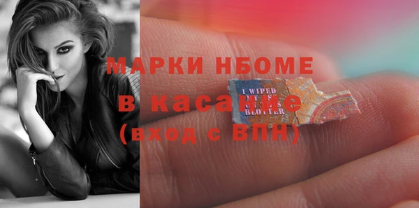 гашик Майский