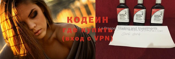 гашик Майский
