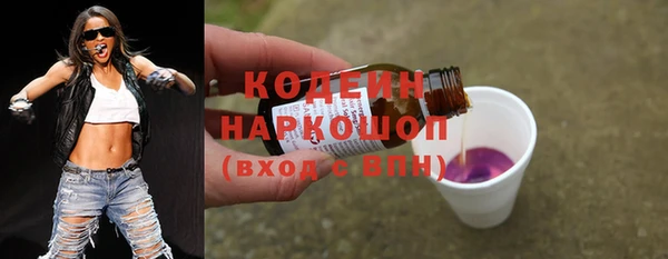 гашик Майский