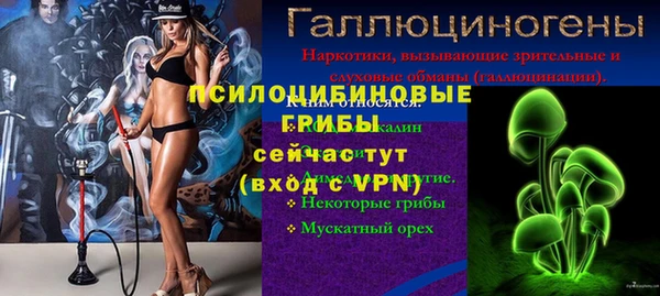 apvp Магас