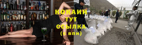 гашик Майский