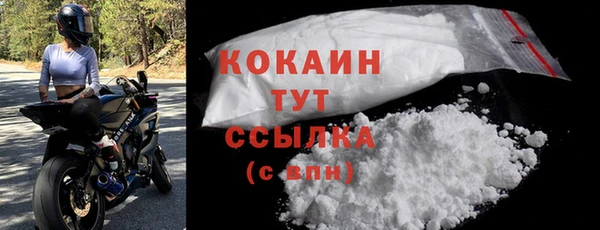 гашик Майский
